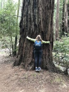 Heather hugs a giant tree in the forest